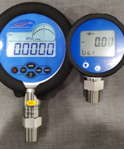 Đồng hồ đo áp suất điện tử LEO1 2
